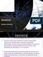 Neuronul Prezentare