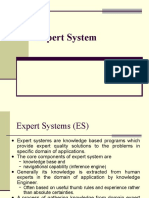 Expert Systems