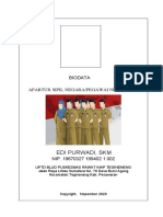 Biodata PNS