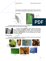 Lesson I. B. Fractal Geometry