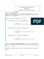 DETERMINANTES - DESENVOLVIMENTO - de - LAPLACE (Parte III)