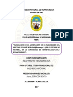 Universidad Nacional de Huancavelica: Facultad de Ciencias Agrarias Escuela Profesional de Agronomía Tesis