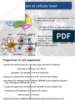 Brain at Cellular Level: Trillion Glial Cells (That's 10-50 Times More!)