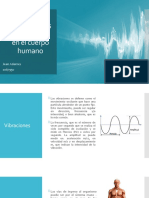 Presentacion Efectos de Vibraciones en El Cuerpo Humano