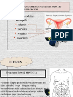 Kel 1 (Sistem Reproduksi Dan Payudara)