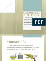 Carboximetil Celulosa