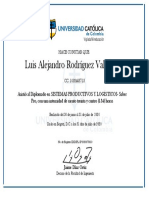 Luis Alejandro Rodríguez Vallejo Diplomado PDF