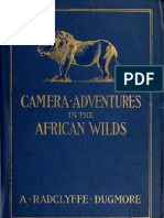 Camera Adventures in the African Wild