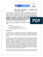 Anexo 1. Formato de Perfil de Proyecto - 2