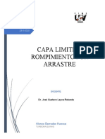 Capa Limite y Rompimiento Por Arrastre