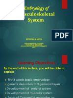 Embriologi Muskuloskletal 2019
