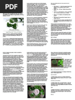 Fat Hurrah Man Inovasi Pendidikan Islam Pdf