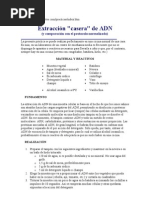 Download practicas de biologia by Karam Bada SN48550256 doc pdf