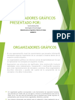 Organizadores Gráficos Presentacion