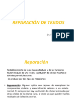 Reparación tisular: regeneración y cicatrización en