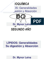 Digestion y Absorcion de Los Lipidos PDF