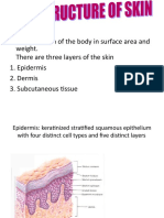 I) Skin Largest Organ of The Body in Surface Area and Weight. There Are Three Layers of The Skin 1. Epidermis 2. Dermis 3. Subcutaneous Tissue