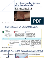 Historia Natural de La Enfermedad