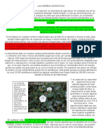 Las Hierbas Adventicias PDF