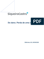 Pesquisa-Daniela-Domingues-Perda.pdf