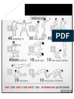 Entrenamiento PDF