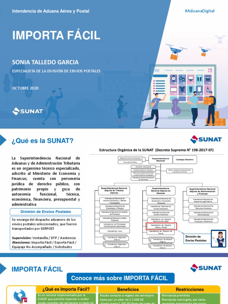 Importa Fácil Exporta Fácil Pdf Aduana Exportaciones