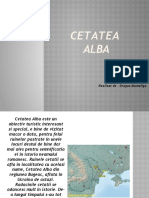 Cetatea-alba