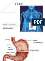 !! Gastritele .pptx 2 rom.pptx