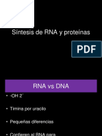 Transcripción y Síntesis de Proteínas PDF