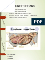 Antop Regio Thoraks PDF