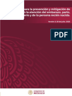 Lineamientos_Prevencion_COVID19_Embarazos_V2.pdf