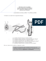 4° Organismos Unicelulares y Pluricelulares