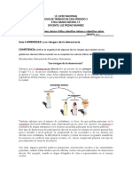 Riesgos de La Democracia Convertido Ramos Rivillas Robayo Cañon