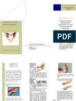 Folleto Pausas Activas Miembros Superiores PDF