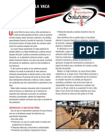 Bienestar y Manejo - Manejo de la Vaca Recien Parida - Select Sires.pdf