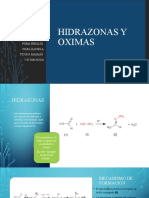 Hidrazonas y Oximas