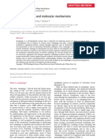 Autophagy Cellular and Molecular Mechanisms