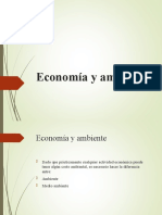 Economía y ambiente