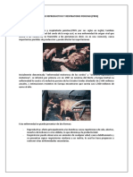 Síndrome Reproductivo y Respiratorio Porcino (PRRS) PDF