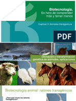 Biotecnologia Capitulo 3 Animales Transgenicos PDF