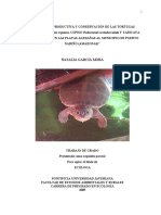 Tesis Tortugas Charapa Natalia1 PDF