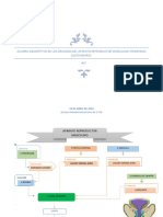 Cuadro Descriptivo de Los Órganos Del Aparato Reproductor Masculino Yfemenino. Cuestionario