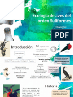 Expo Aves Amniotas 2.0 PDF