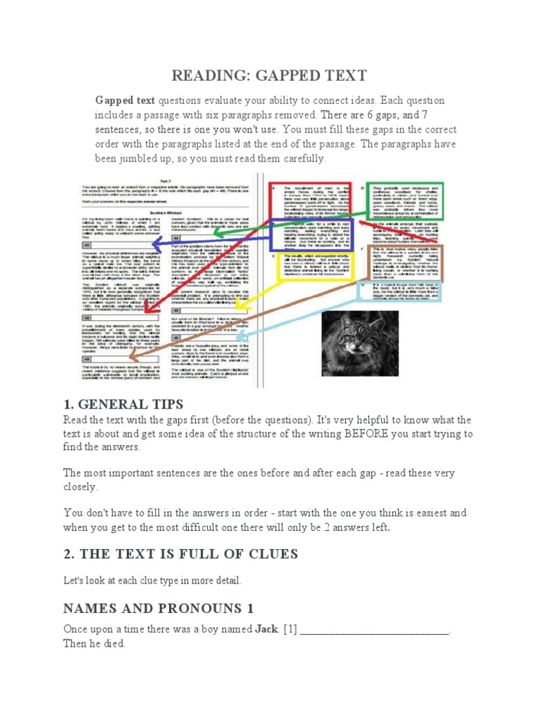 Gapped Text Exercise Guide | PDF | Grammar | Cognitive Science