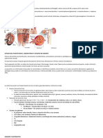Resumen 1, 2 y 3 Nefrología (anatomía y fisiología renal, estudio del paciente renal, hidroelectrolitos)