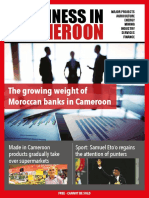 Cameroon: Business in