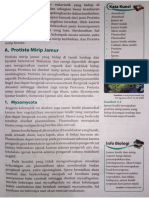 Protista PDF