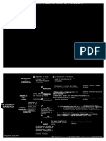 Cuadro Sinoptico de Relaciones de Experiencia