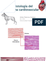 Histologia Del Sistema Cardiovascular