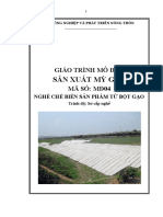 Tailieuxanh GT Modun 04 San Xuat My Gao 8086 PDF
